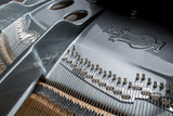 Feurich 162 Dynamic I Polished Ebony Grand Piano (Chrome)
