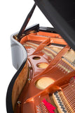 Feurich 179 Dynamic II Polished Ebony Grand Piano (Brass)