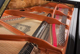 Feurich 179 Dynamic II Polished Ebony Grand Piano (Brass)