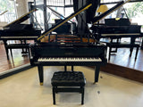 Feurich 162 Dynamic I Grand Piano