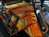 Feurich 162 Dynamic I Grand Piano