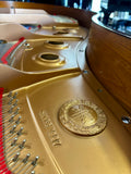Yamaha GB1K Baby Grand Polished Walnut