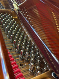 Yamaha GB1K Baby Grand Polished Walnut