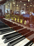 Yamaha GB1K Baby Grand Polished Walnut