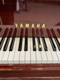Yamaha GB1K Baby Grand Polished Walnut