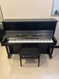 Wendl & Lung P122 Upright Ebony Satin