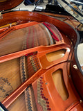 Wendl & Lung Model 178 Grand Piano