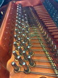 Wendl & Lung Model 178 Grand Piano