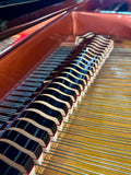 Wendl & Lung Model 178 Grand Piano