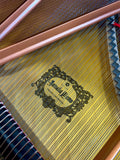Yamaha GC2 PE Grand Piano Polished Ebony
