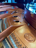 Yamaha GC2 PE Grand Piano Polished Ebony