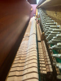 Otto Bach Classic Model Upright Piano Walnut Satin