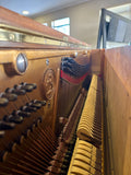C. Bechstein Berlin Concert Model Upright Piano Burr Walnut