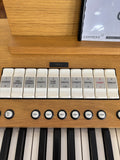 Content Compact 224 Organ Demo Model (Stand & Expression Pedal)