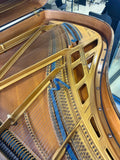 Blüthner Model 6 Grand Polished Walnut