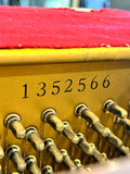 Yamaha M1 Upright Piano Polished Mahogany