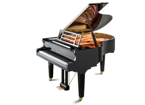 Feurich 179 Dynamic II Polished Ebony Grand Piano (Brass)