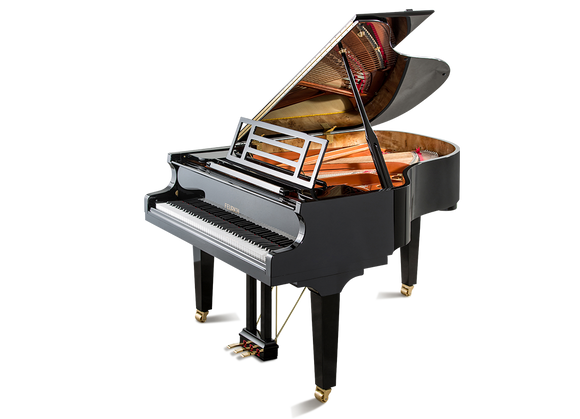 Feurich 179 Dynamic II Polished Ebony Grand Piano (Brass)