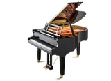 Feurich 179 Dynamic II Polished Ebony Grand Piano (Brass)