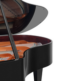 Bösendorfer 185VC Grand Piano Polished Ebony