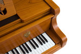 Bösendorfer Strauss Design Grand Piano