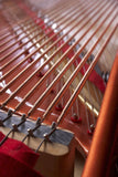 Feurich 218 Concert I Grand Piano Polished Ebony