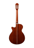 Ibanez AEG10N