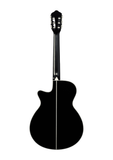 Ibanez AEG10N