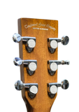 Tanglewood TW10 Winterleaf