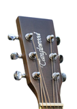 Tanglewood TW10 Winterleaf
