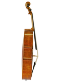 Sandner SNR MC2 Master Cello 4/4