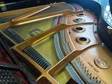 Yamaha DC1 Grand Piano