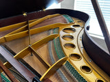 Bösendorfer model 200 Grand Piano