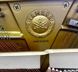 Yamaha U1 Upright Piano