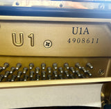 Yamaha U1 Upright Piano