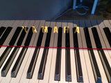 Yamaha GB1 K PE Baby Grand Piano