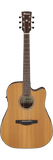 Ibanez AW65ECE