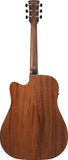 Ibanez AW65ECE