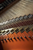 Feurich 218 Concert I Grand Piano Polished Ebony