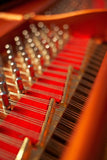 Feurich 218 Concert I Grand Piano Polished Ebony