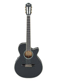 Ibanez AEG10N Classical Acoustic Electric Guitar Gloss Finish