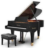 Bösendorfer Grand Piano Model 200