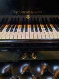 Steinway & Sons M Grand Piano