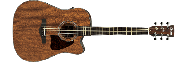 Ibanez aw54ce top